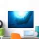 Diver Looks Schooling Jacks Wall Decal Design 6