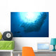 Diver Looks Schooling Jacks Wall Decal Design 6