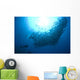 Diver Looks Schooling Jacks Wall Decal Design 6