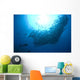 Diver Looks Schooling Jacks Wall Decal Design 6