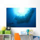 Diver Looks Schooling Jacks Wall Decal Design 6