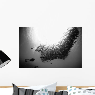 Diver Looks Schooling Jacks Wall Decal Design 5 shown on a wall