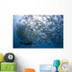 Diver Looks Schooling Jacks Wall Decal Design 4