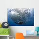 Diver Looks Schooling Jacks Wall Decal Design 3