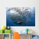 Diver Looks Schooling Jacks Wall Decal Design 3