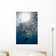 Diver Looks Schooling Jacks Wall Decal Design 2