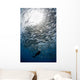 Diver Looks Schooling Jacks Wall Decal Design 2