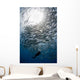 Diver Looks Schooling Jacks Wall Decal Design 2