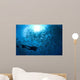 Diver Looks Schooling Jacks Wall Decal Design 1
