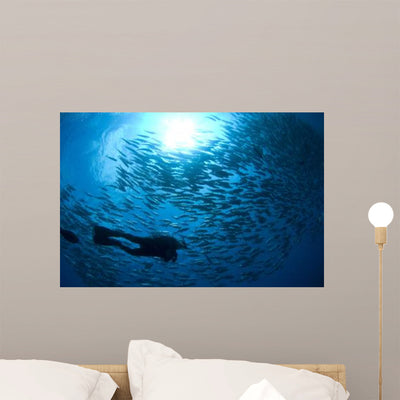 Diver Looks Schooling Jacks Wall Decal Design 1 shown on a wall