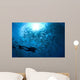 Diver Looks Schooling Jacks Wall Decal Design 1