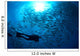 Diver Looks Schooling Jacks Wall Decal Design 1