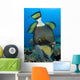 Titan Triggerfish Picking Coral Wall Decal Design 2
