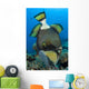 Titan Triggerfish Picking Coral Wall Decal Design 2