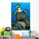 Titan Triggerfish Picking Coral Wall Decal Design 2