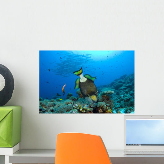 Titan Triggerfish Picking Coral Wall Decal Design 1