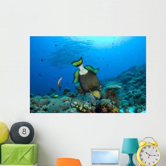 Titan Triggerfish Picking Coral Wall Decal Design 1
