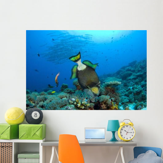 Titan Triggerfish Picking Coral Wall Decal Design 1