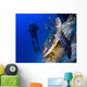 Hawksbill Turtle Resting Reef Wall Decal Design 2