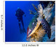 Hawksbill Turtle Resting Reef Wall Decal Design 2