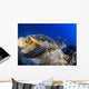 Hawksbill Turtle Resting Reef Wall Decal Design 1