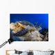 Hawksbill Turtle Resting Reef Wall Decal Design 1