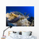 Hawksbill Turtle Resting Reef Wall Decal Design 1