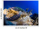 Hawksbill Turtle Resting Reef Wall Decal Design 1