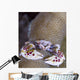 Spotted Porcelain Crab Feeding Wall Decal Design 2