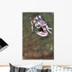 Spotted Porcelain Crab Feeding Wall Decal Design 1