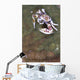 Spotted Porcelain Crab Feeding Wall Decal Design 1