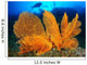 Diver Looks Large Gorgonian Wall Decal Design 3
