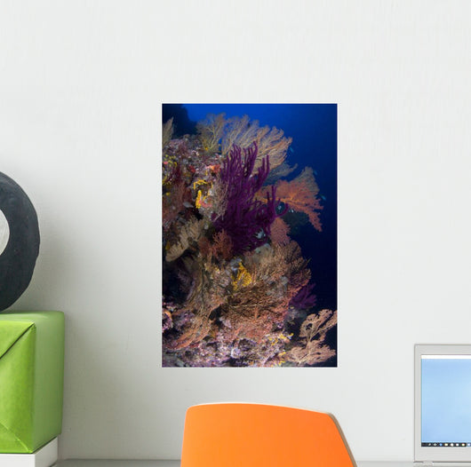 Colorful Assorted Sea Fans Wall Decal Design 2