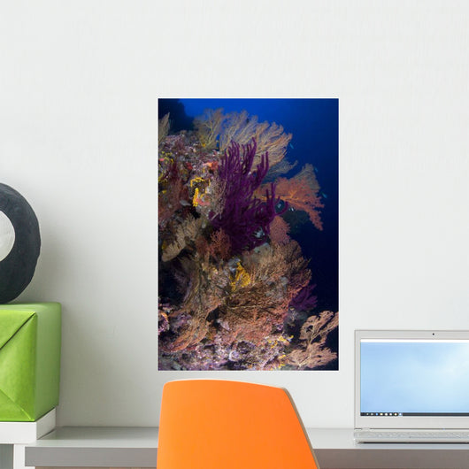 Colorful Assorted Sea Fans Wall Decal Design 2