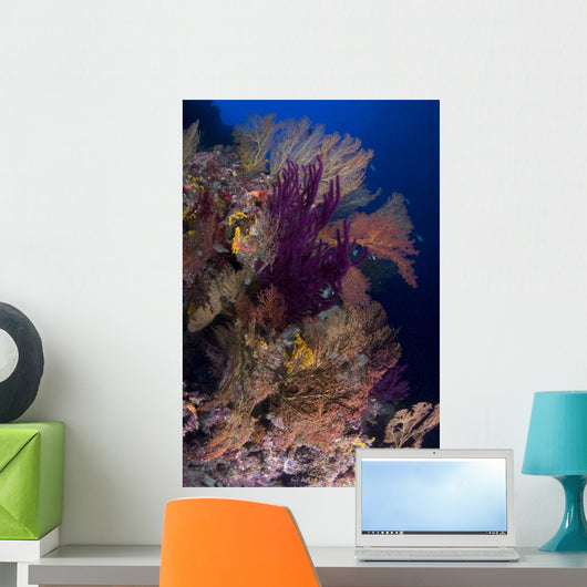 Colorful Assorted Sea Fans Wall Decal Design 2