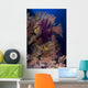 Colorful Assorted Sea Fans Wall Decal Design 2