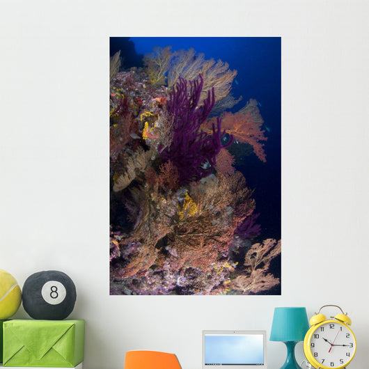 Colorful Assorted Sea Fans Wall Decal Design 2