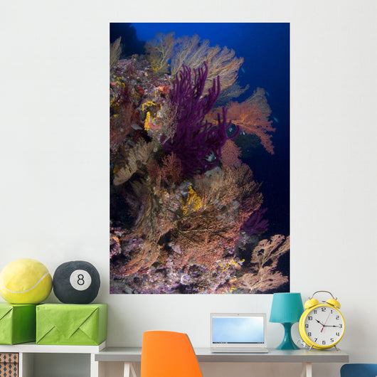 Colorful Assorted Sea Fans Wall Decal Design 2
