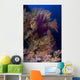 Colorful Assorted Sea Fans Wall Decal Design 2