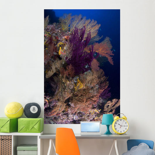 Colorful Assorted Sea Fans Wall Decal Design 2