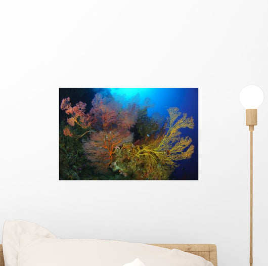 Colorful Assorted Sea Fans Wall Decal Design 1