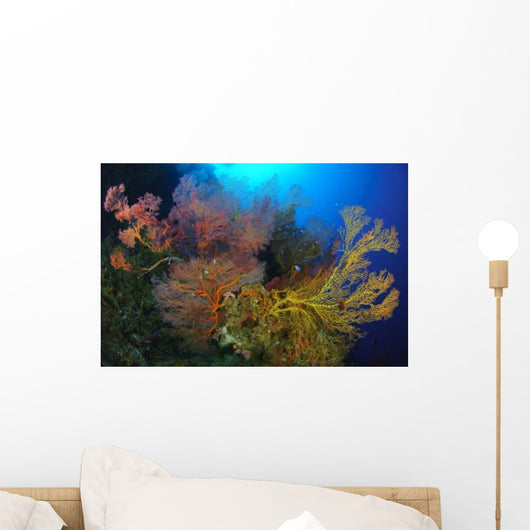 Colorful Assorted Sea Fans Wall Decal Design 1