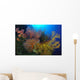Colorful Assorted Sea Fans Wall Decal Design 1