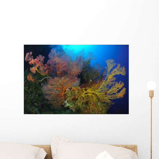 Colorful Assorted Sea Fans Wall Decal Design 1