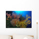 Colorful Assorted Sea Fans Wall Decal Design 1