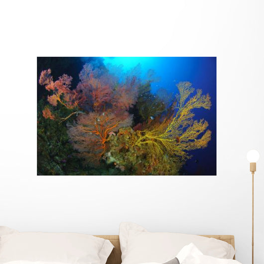 Colorful Assorted Sea Fans Wall Decal Design 1