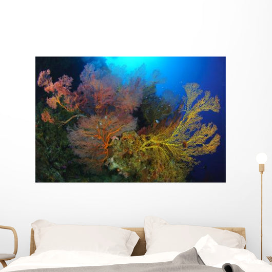 Colorful Assorted Sea Fans Wall Decal Design 1