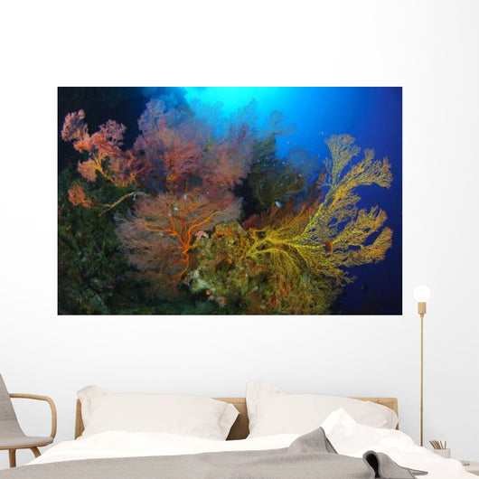 Colorful Assorted Sea Fans Wall Decal Design 1