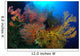 Colorful Assorted Sea Fans Wall Decal Design 1