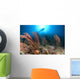 Diver Looks Sea Fans Wall Decal